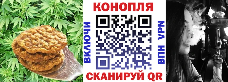 маркетплейс формула Новая Ладога Cannafood марихуана сколько стоит