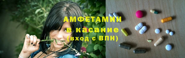 индика Нягань