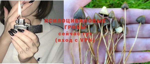 дживик Алексин