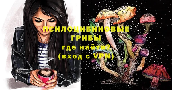 дживик Алексин