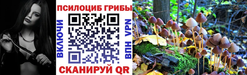 Псилоцибиновые грибы Cubensis  Новая Ладога 